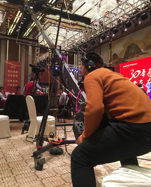 广告设计,制作,发布;商务信息咨询;会展,会议服务;企业形象策划;影视